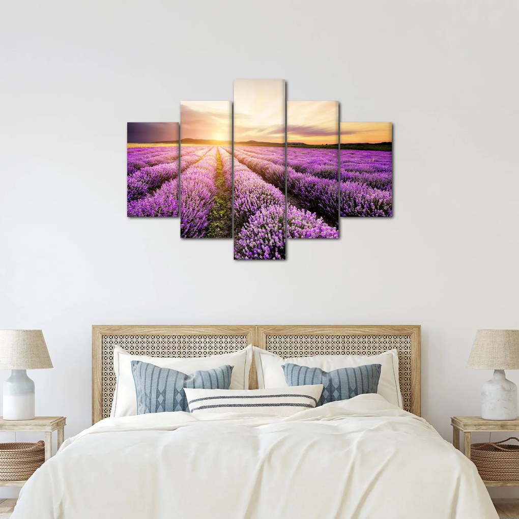 Kép - Napfelkelte levendulamezőn (150x105 cm)