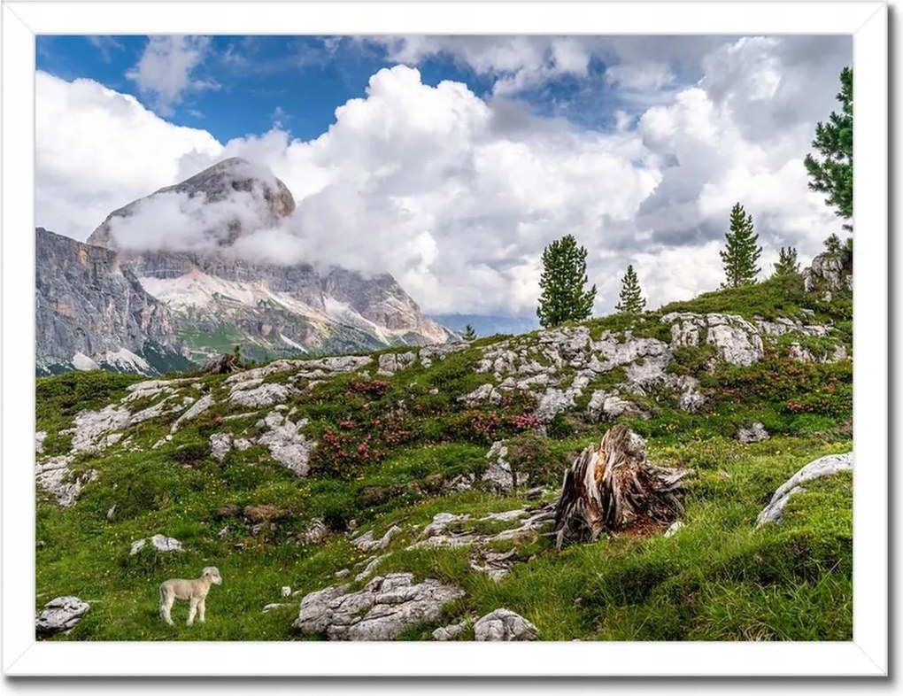 Poszterek keretben 40x30 Bárány a hegyekben Kilátás