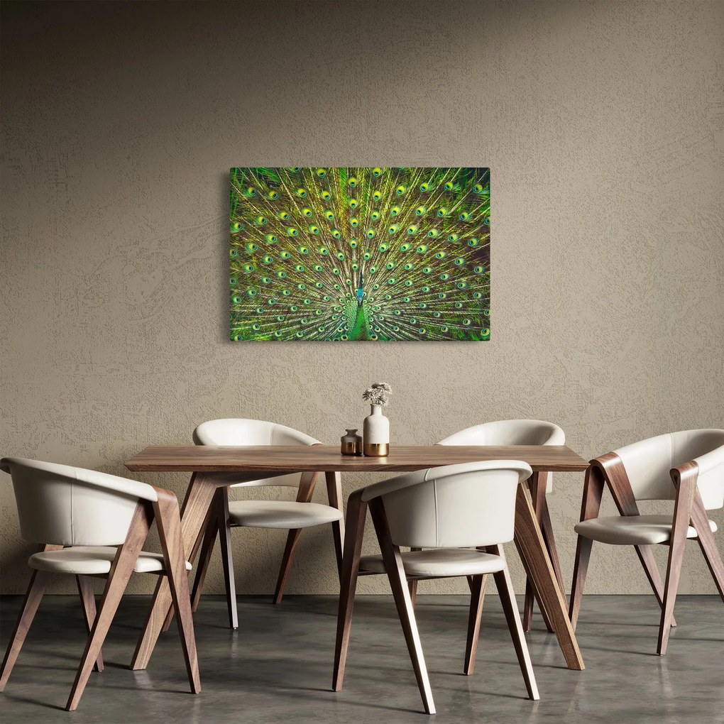 Kép - Páva (90x60 cm)