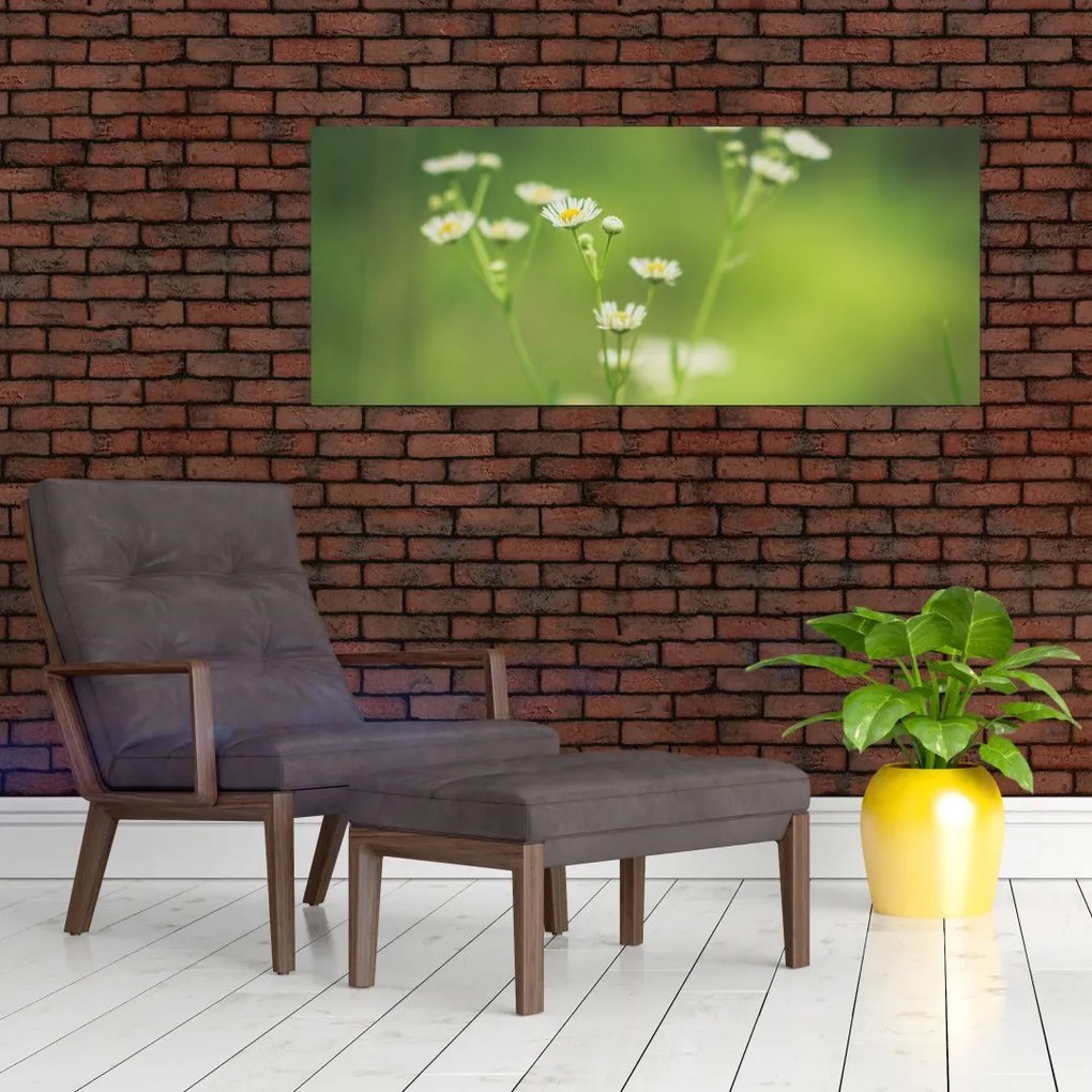 Egy százszorszép képe (120x50 cm)