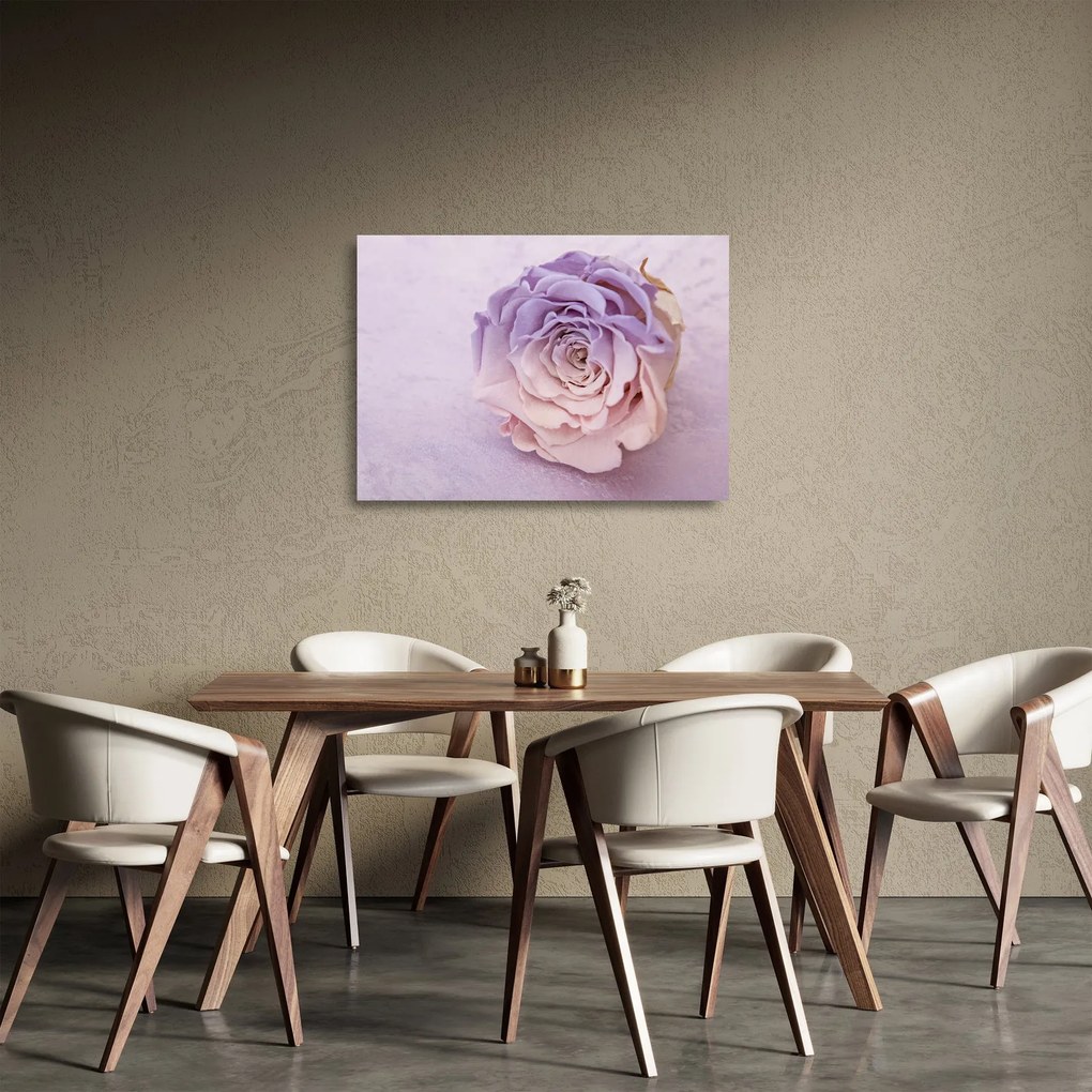 Egy rózsa virág részlete (üvegen) (70x50 cm)