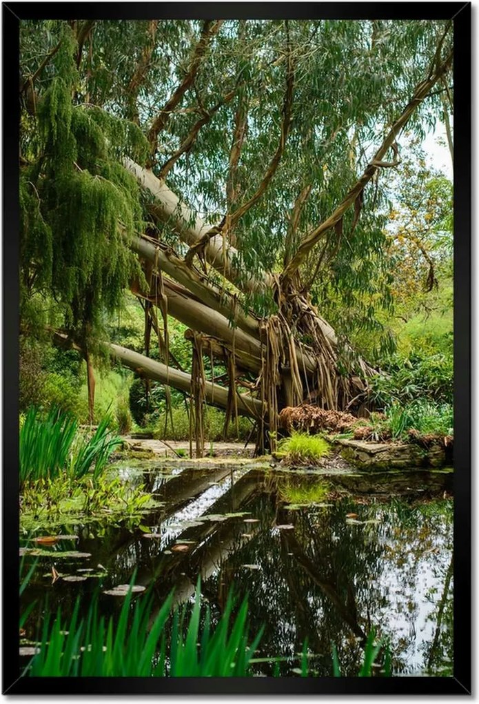 Poszterek keretben 40x60 Tájkép Látvány