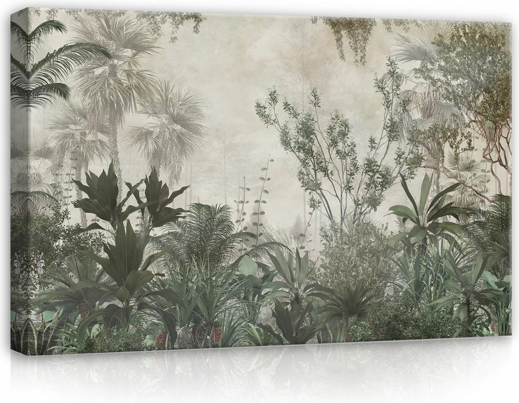 Vászonkép 60x40 Dzsungel trópusok levelek zöld természet növények erdő egzotikus