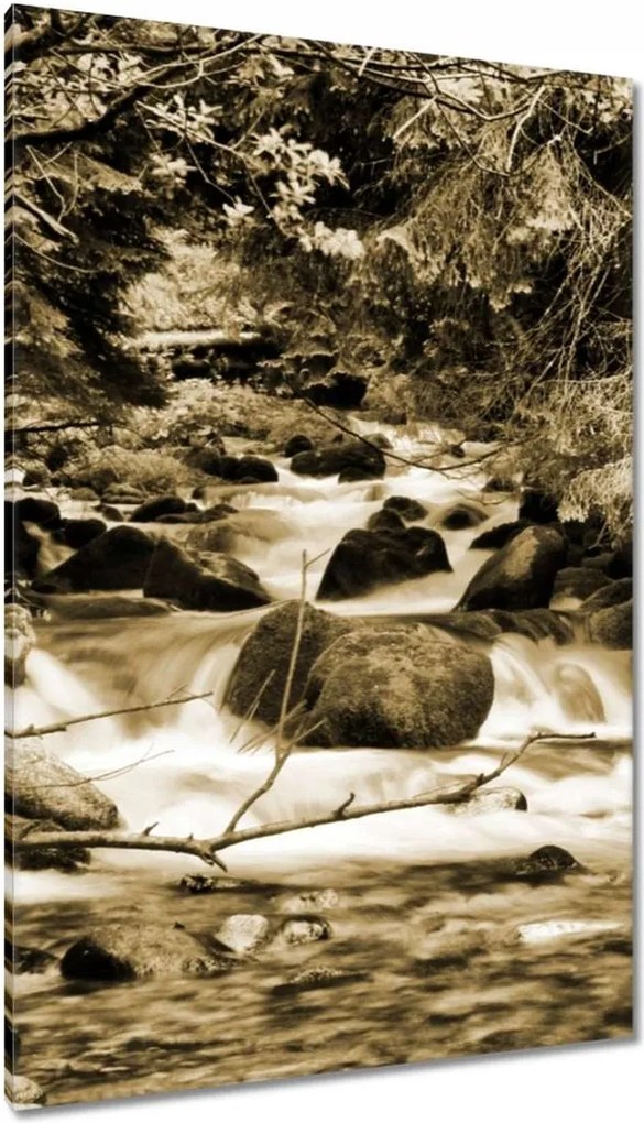 Vászonkép 80x120 Tátra Lengyel hegyek Kilátás