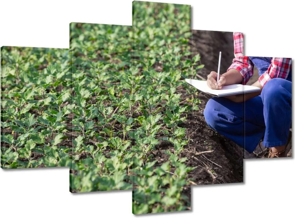 Festmények 150x105 Modern mezőgazdaság