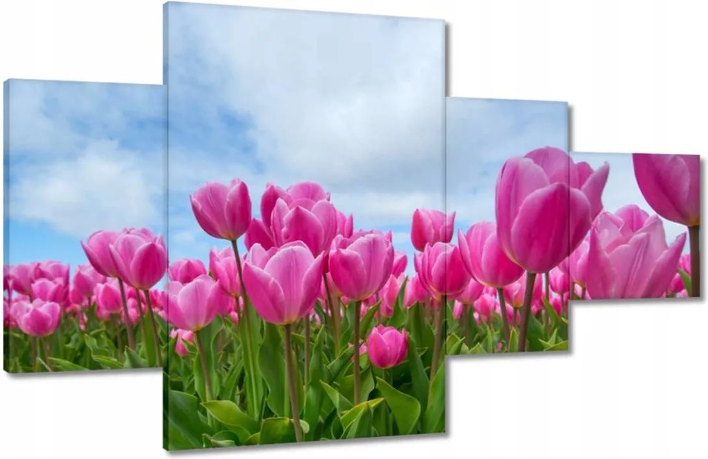 Képek 130x80 Tulipánok Valentin napra