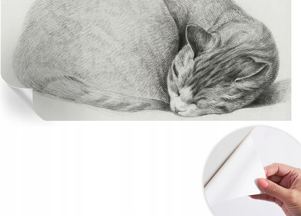 Design fali fotótapéta öntapadós összecsukható macska 250x104 cm