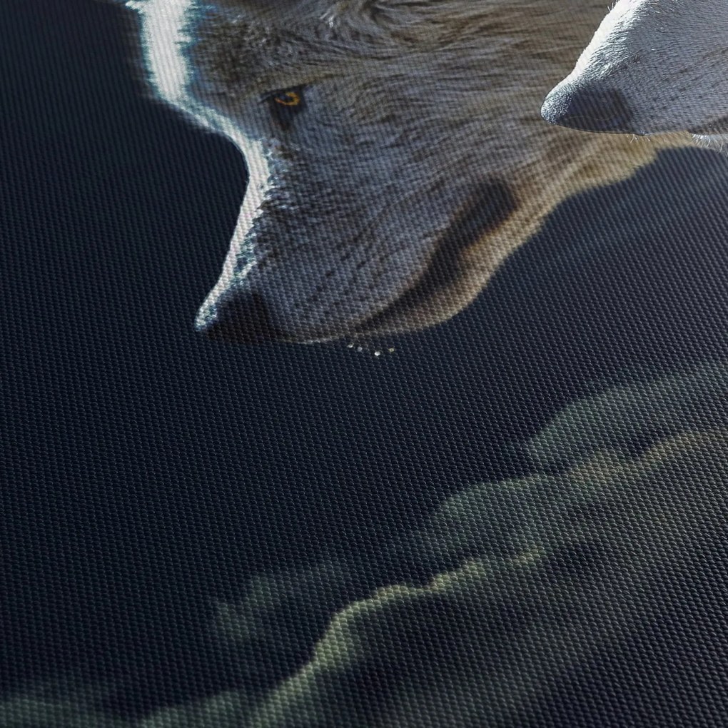 Farkas üvöltés a holdra képe (120x50 cm)