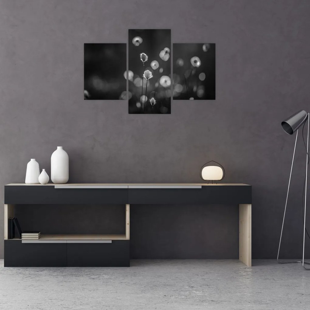 Kép - Pamutfű a réten (90x60 cm)