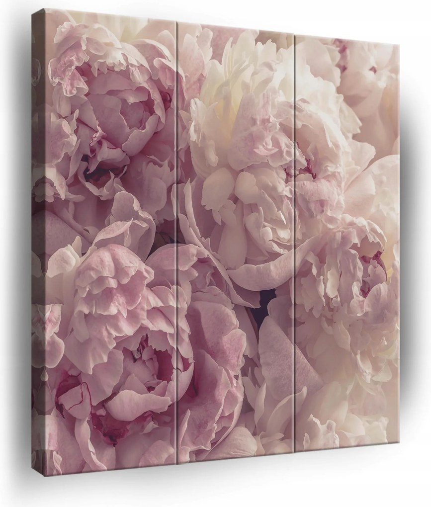 Vászonkép Virágok Bazsarózsa Falikép 3 Részes Triptichon Nappali 90x100