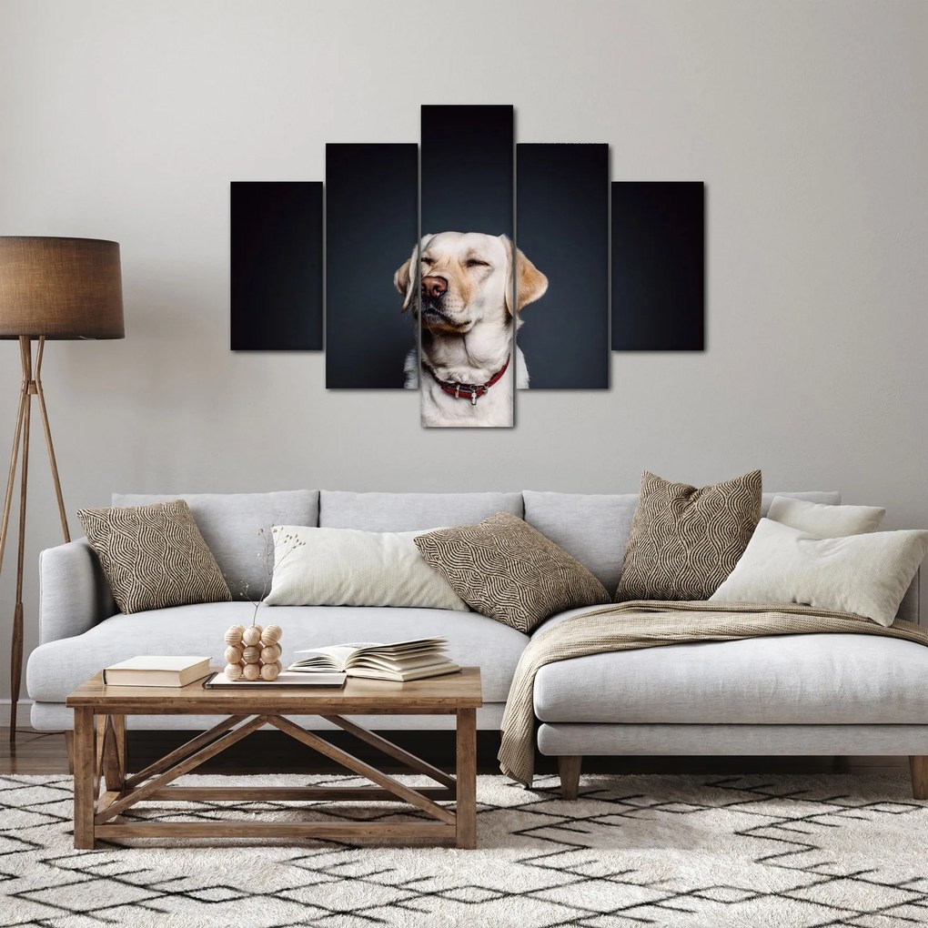 Labrador képe (150x105 cm)
