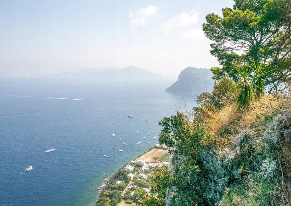 Poszter 42x29,7cm Capri, Assaf Frank