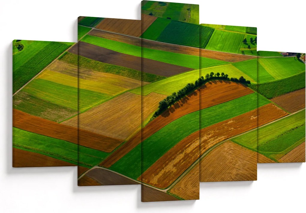 Kép - Mezők, rétek (150x105 cm)