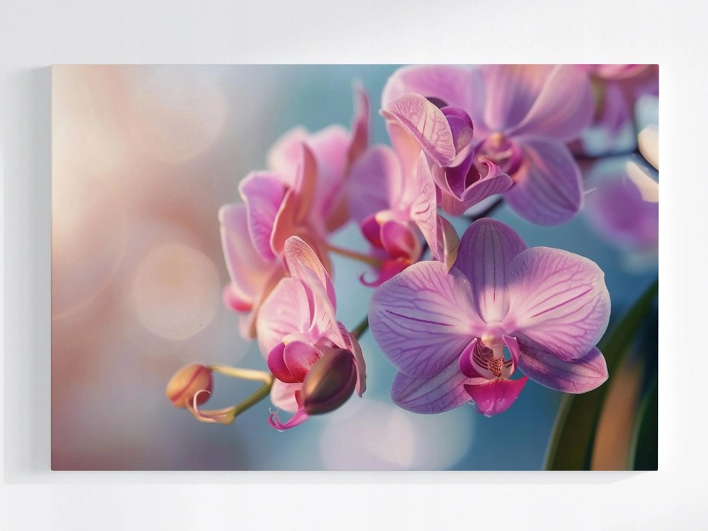 Vászonkép Canvas Virág Orchidea Természet Zen 60x40