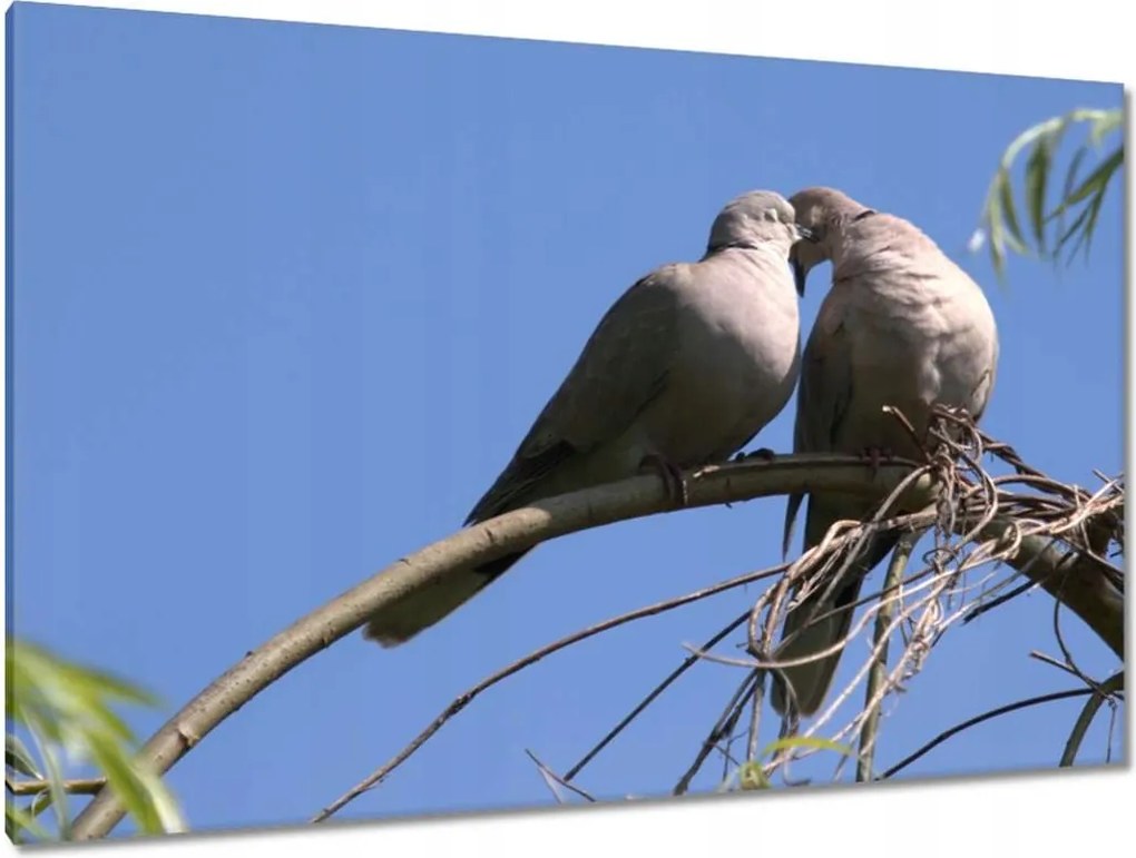 Festmények 120x80 Szerelem Érzés Párkapcsolat