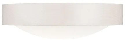 Mennyezeti lámpa 1xE27/60W/230V