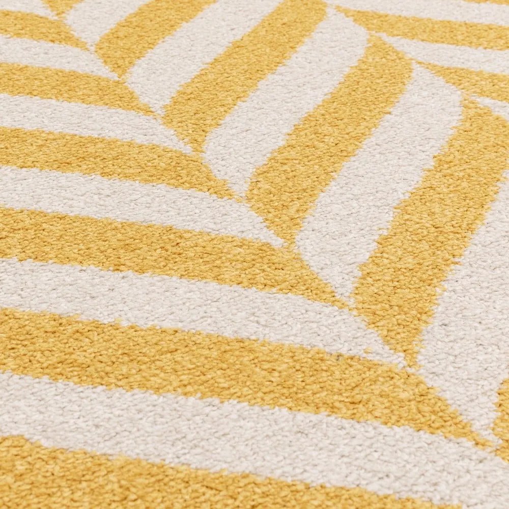 Sárga szőnyeg 170x120 cm Muse - Asiatic Carpets