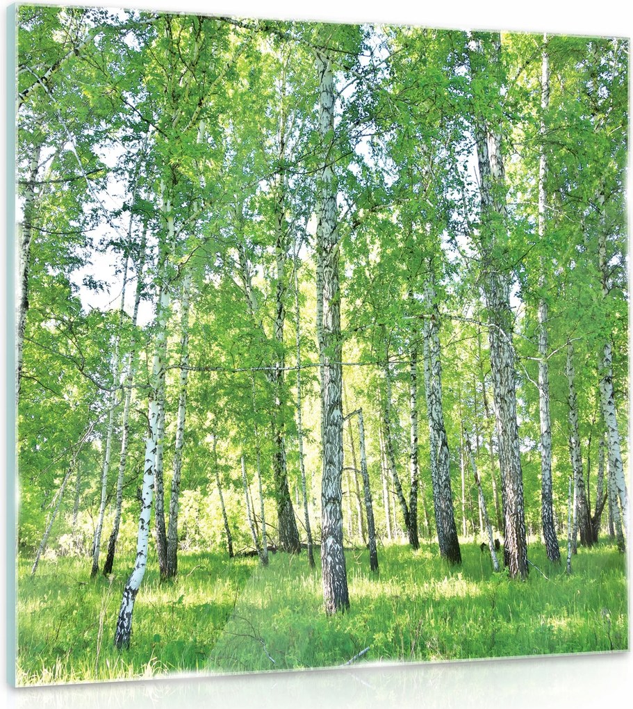 Üvegfestmény Konyha Nyírerdő 30x30