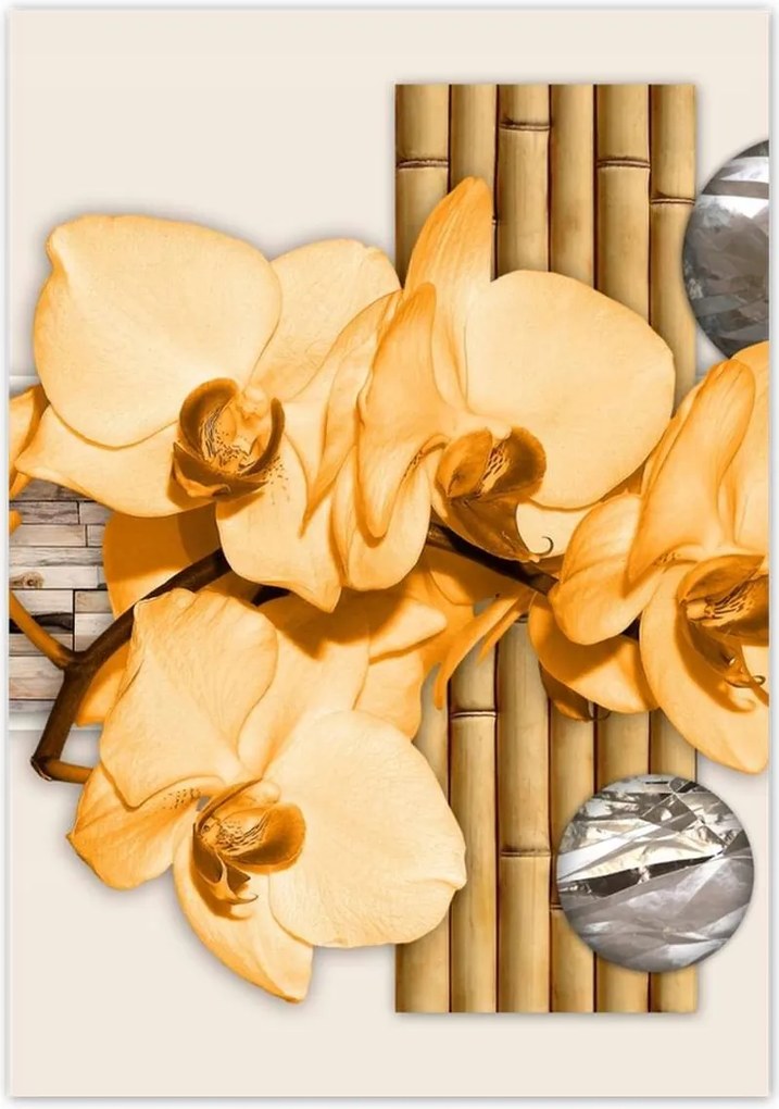 Poszterek 70x100 Narancssárga orchidea