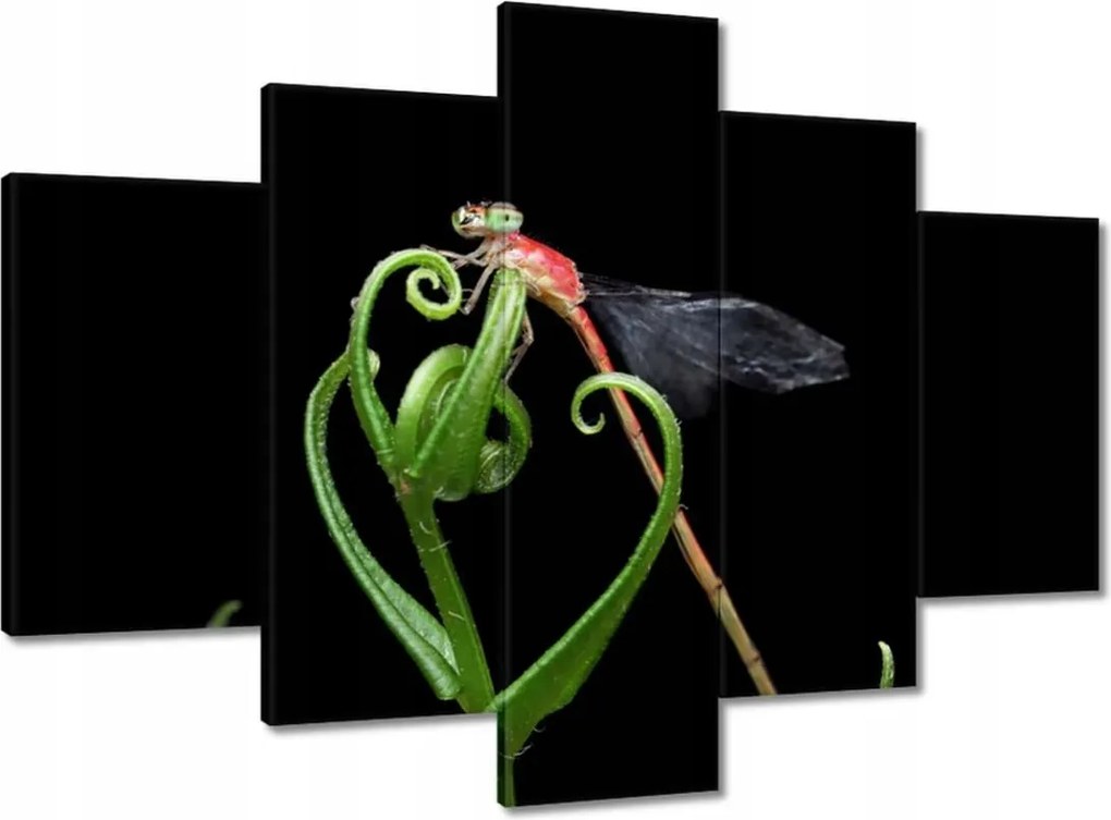 Vászonkép 150x105 Szitakötő a zöld levélen