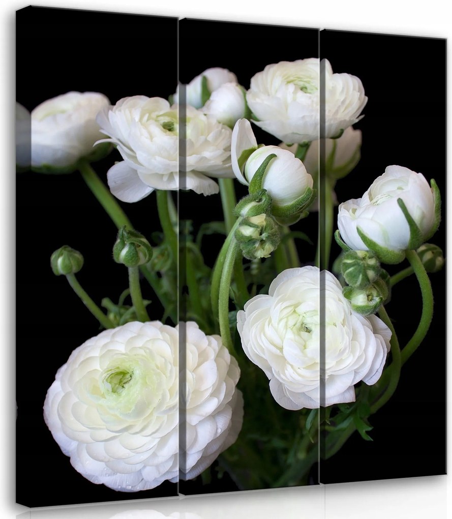 Vászonkép 90x100 Fehér virágok ranunculus csokor fekete háttér finomság