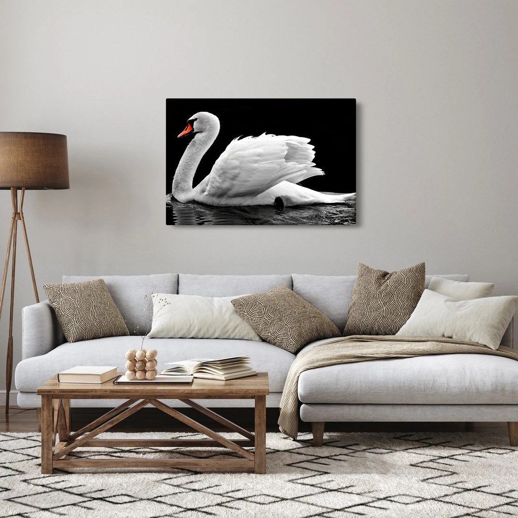 Fekete-fehér hattyúk képe (90x60 cm)