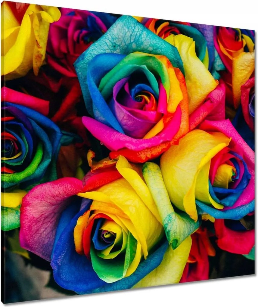 Vászonkép 80x80 Színes rózsák Virágok
