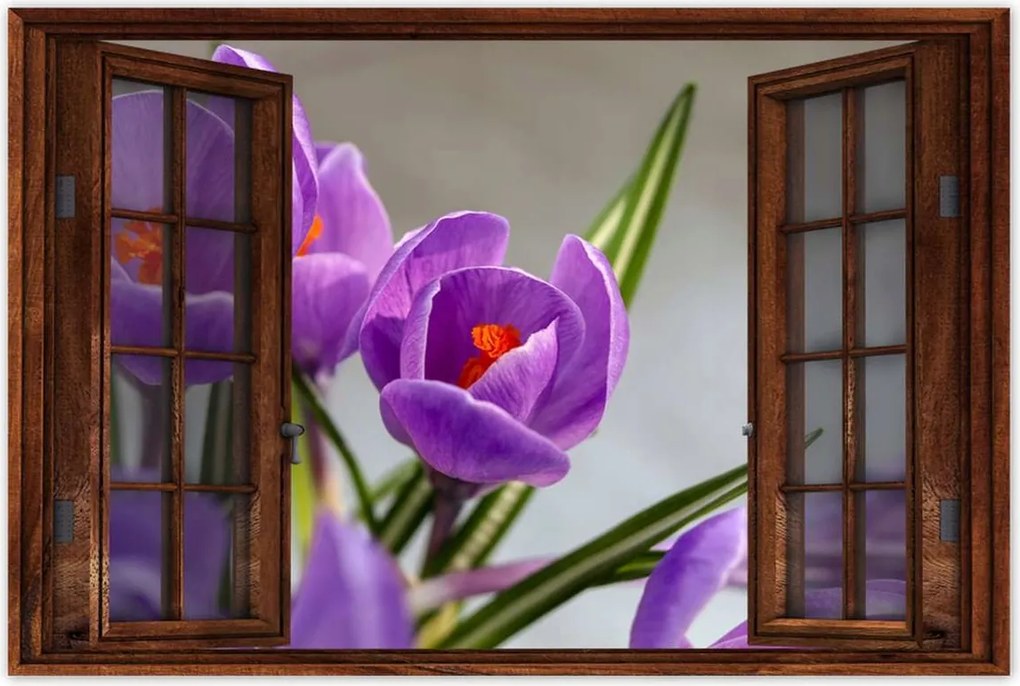Poszterek 90x60 Krokus Virágok