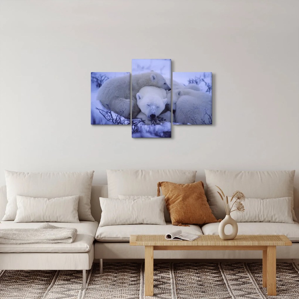 Kép - Jeges medve (90x60 cm)