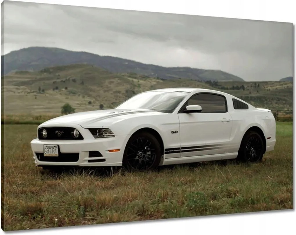 Vászonkép 100x70 Fehér Ford Mustang