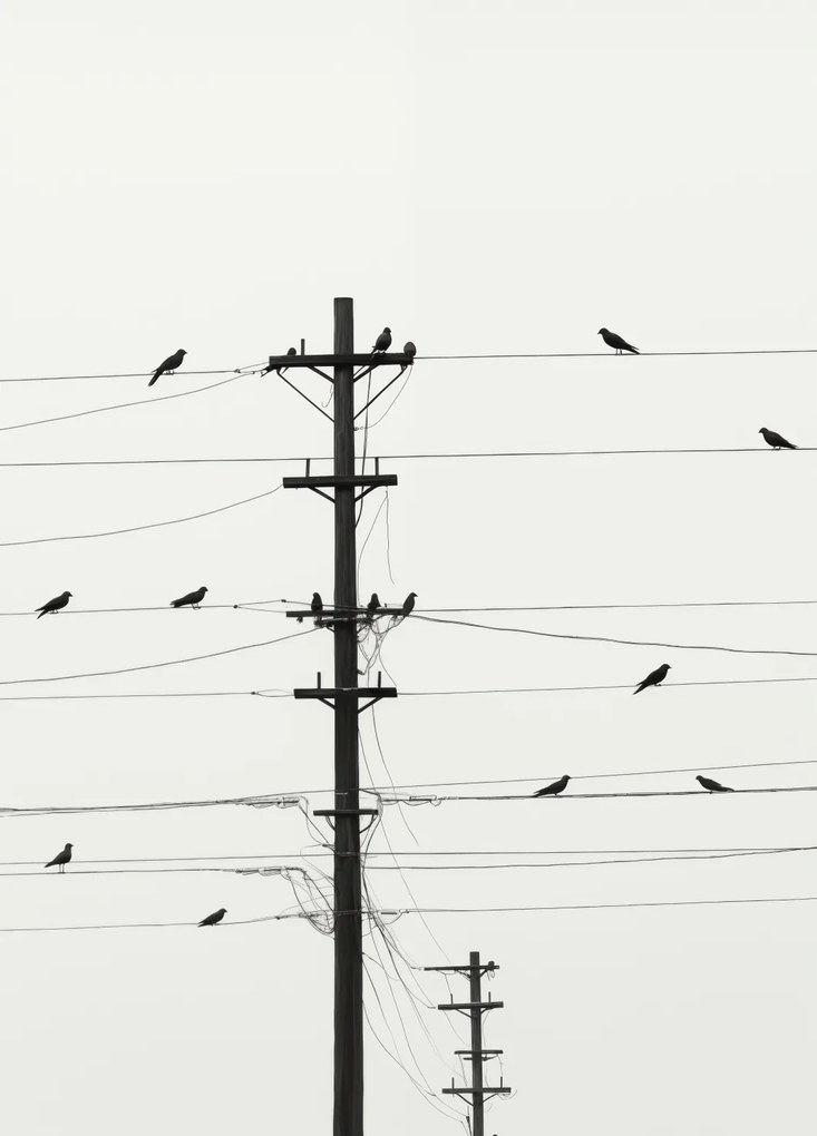 Poszter 39,5x55cm Szimfónia a dróton