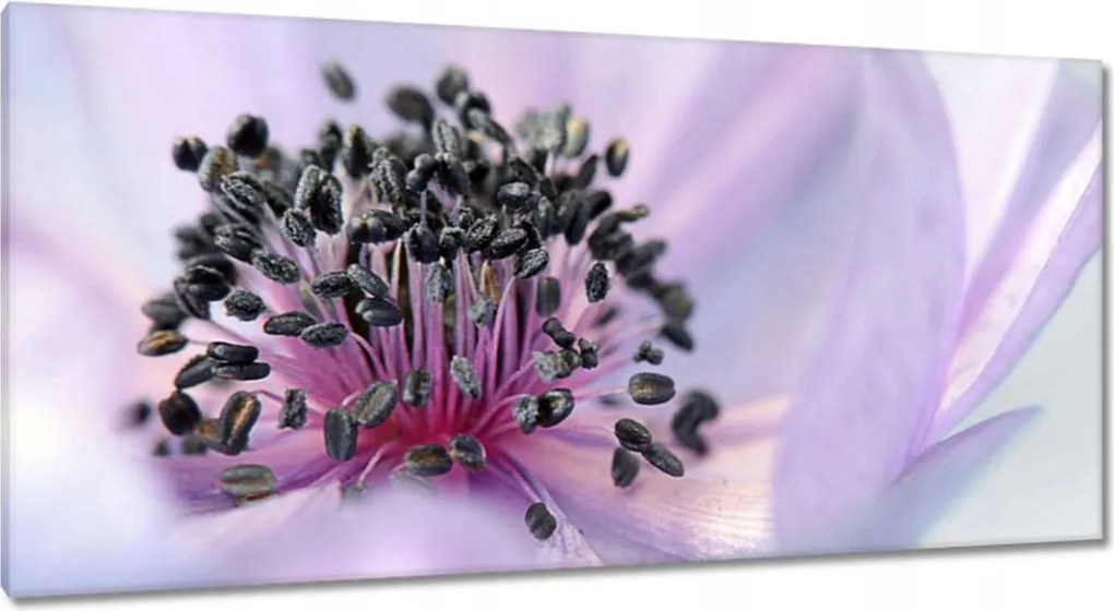 Vászonkép 115x55 Finom porzószálak