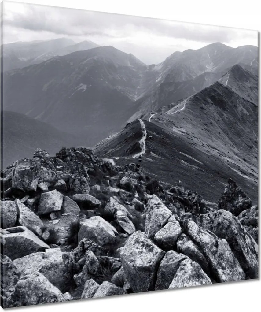 Vászonkép 90x90 A Tátra főcsúcsa