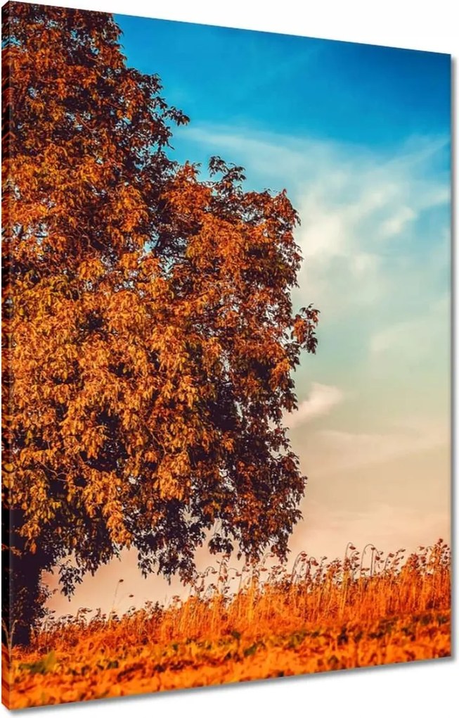 Vászonkép 60x80 Őszi színek Tájkép