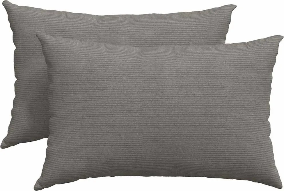 vidaXL Kanapé párnák 2 pcs Világosszürke 60 x 40 cm Bársonyos szövet