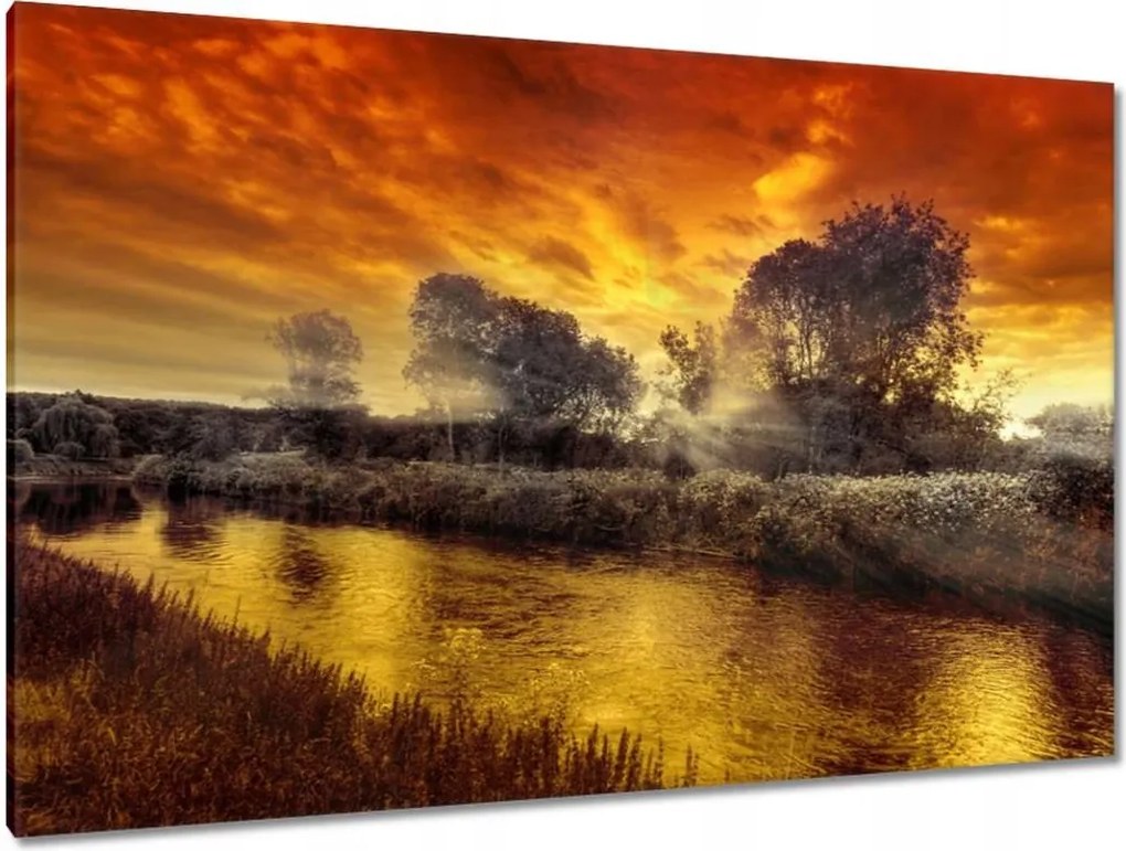 Festmények 120x80 Mézes tájkép