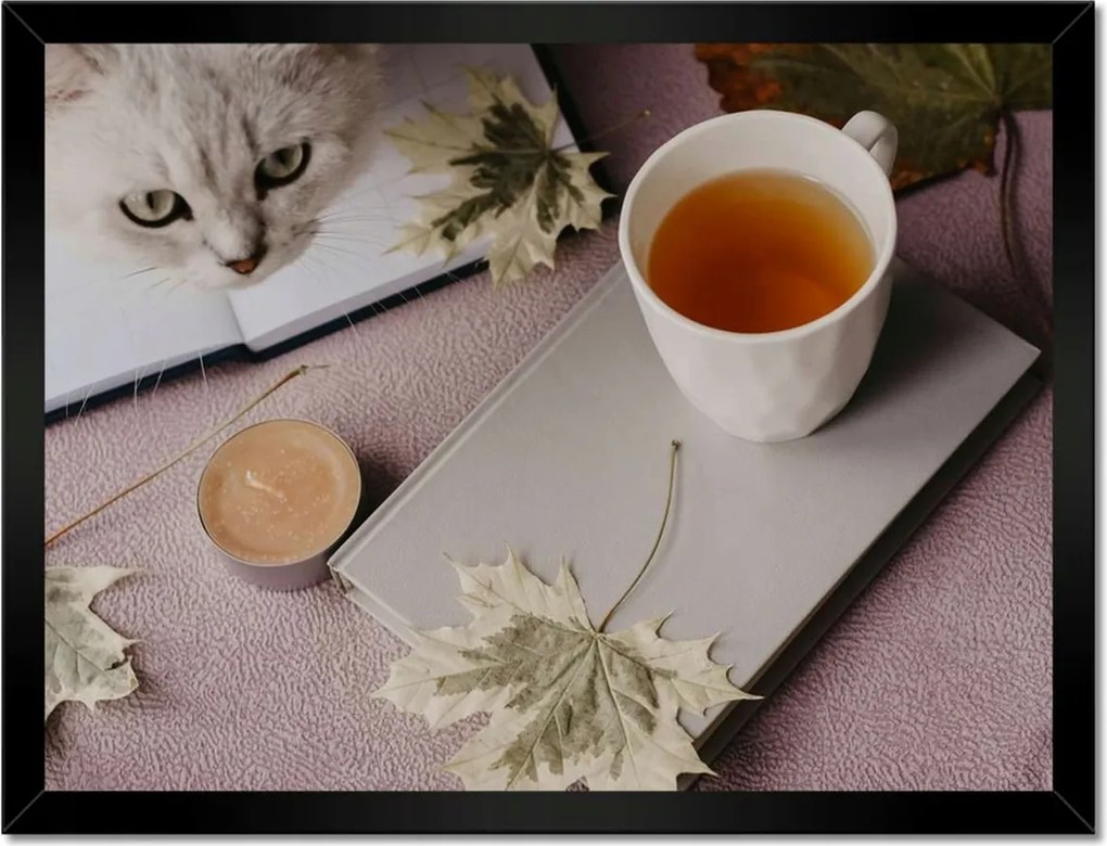 Poszterek keretben 40x30 Cica Cicák