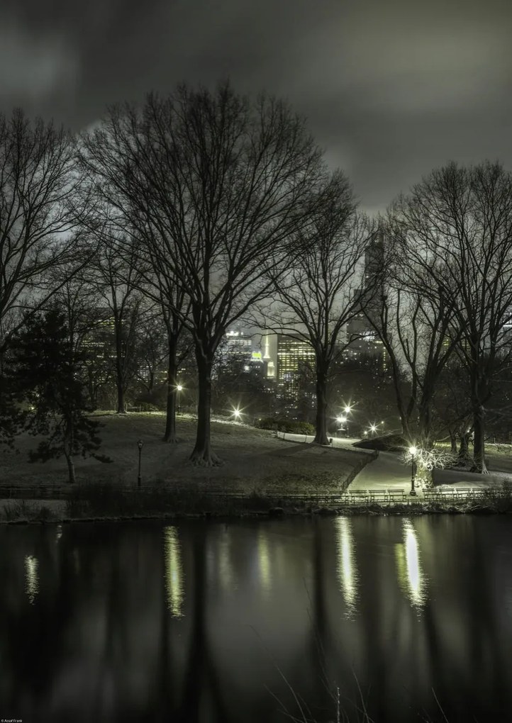 Poszter 42x59,4cm Central Park éjszaka 2, Assaf Frank