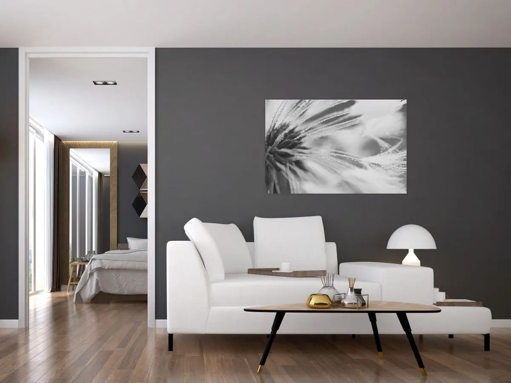 Kép - Pitypang (90x60 cm)
