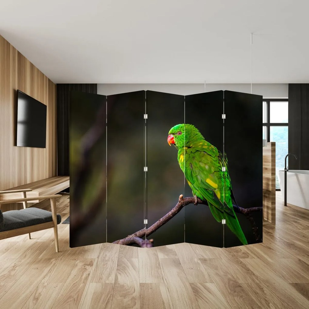 Paraván - Papagáj egy ágon (210x170 cm)