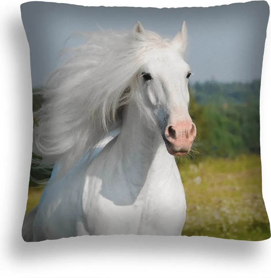 Párna Fehér Ló 45 Fehér Ló Pl 50X50