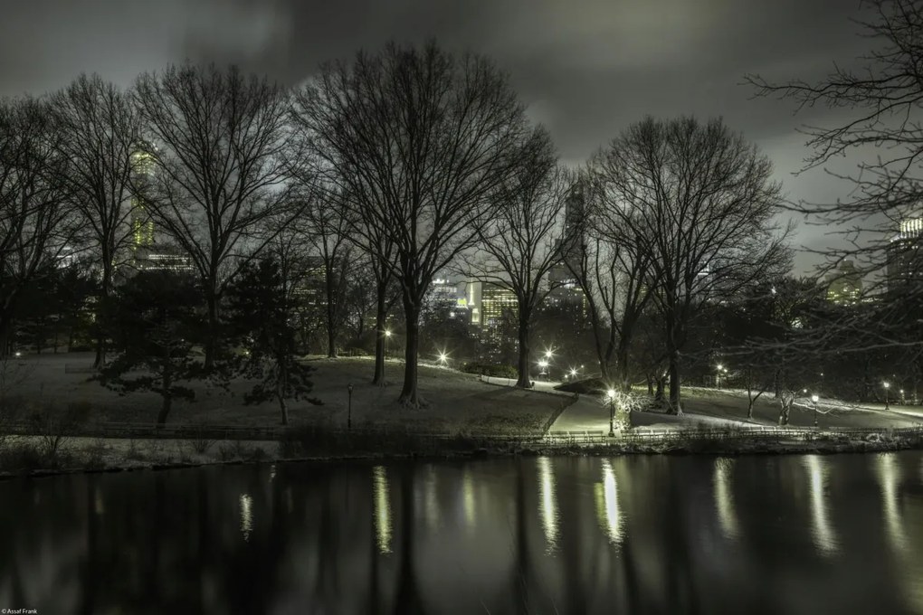 Poszter 45x30cm Central Park éjszaka 2, Assaf Frank