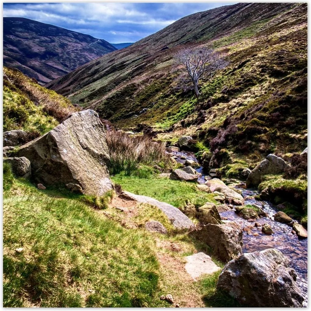 Poszterek 100x100 Hegyi patak