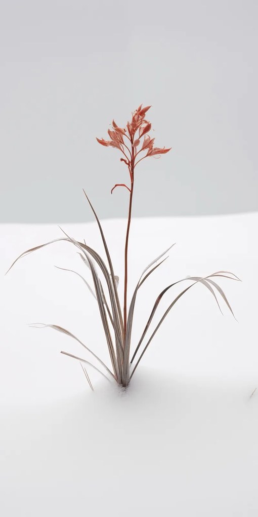 Poszter 50x100cm A természet finomsága