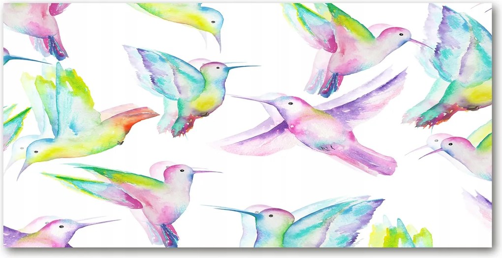 Fotótapéta falra edzett üveg Kolibri 140x70