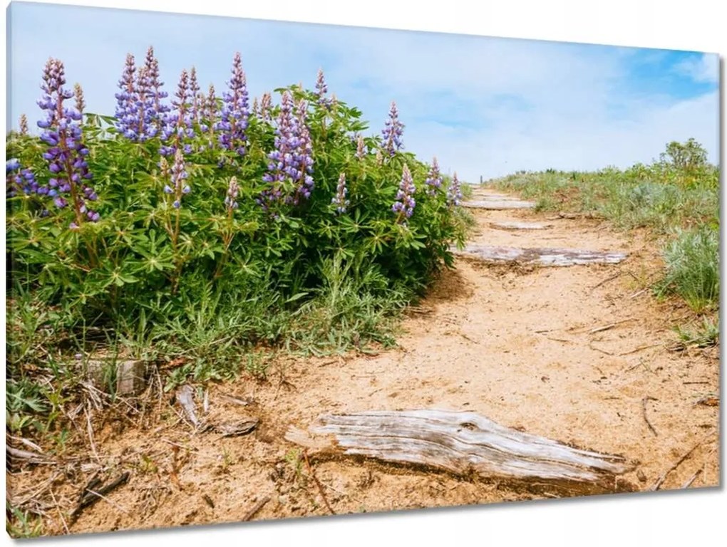 Vászonkép 120x80 Lépcsők Virágok Rét