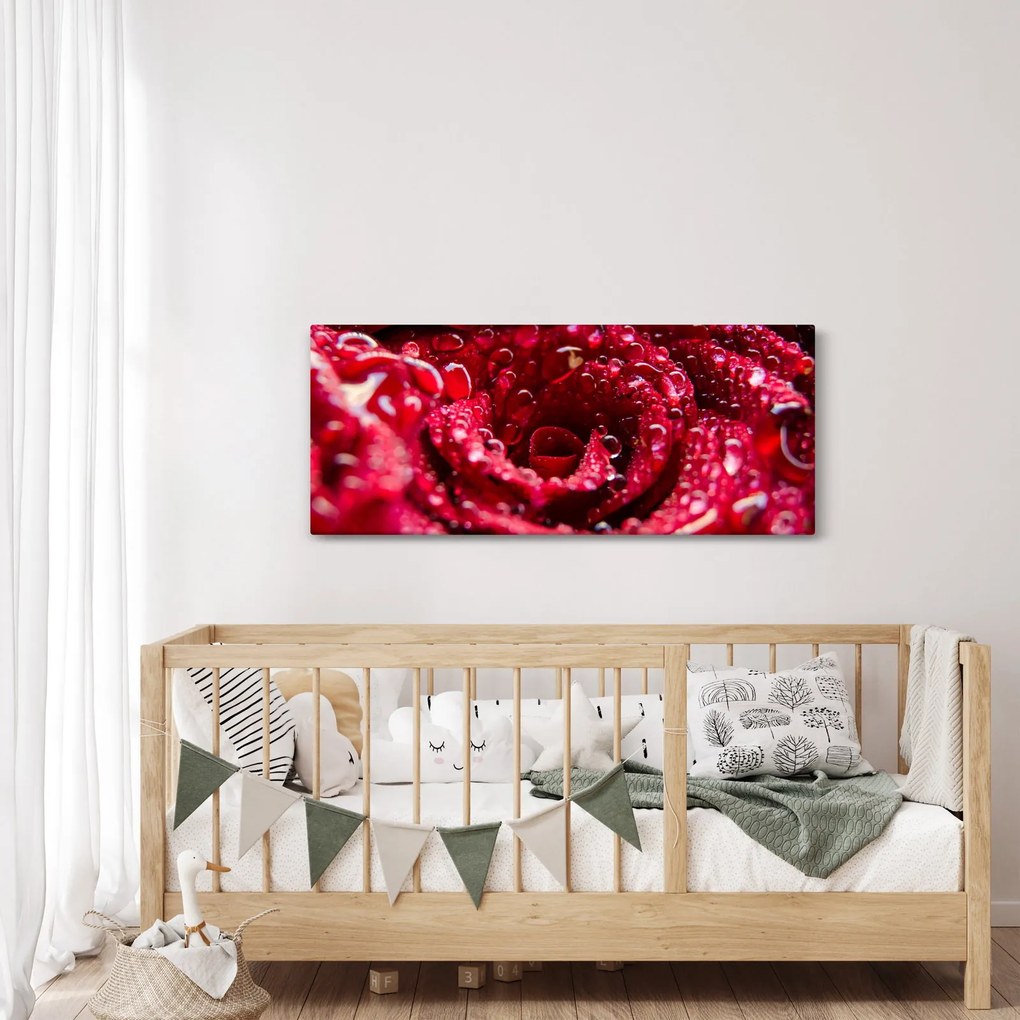 Vörös rózsa virágzata képe (120x50 cm)