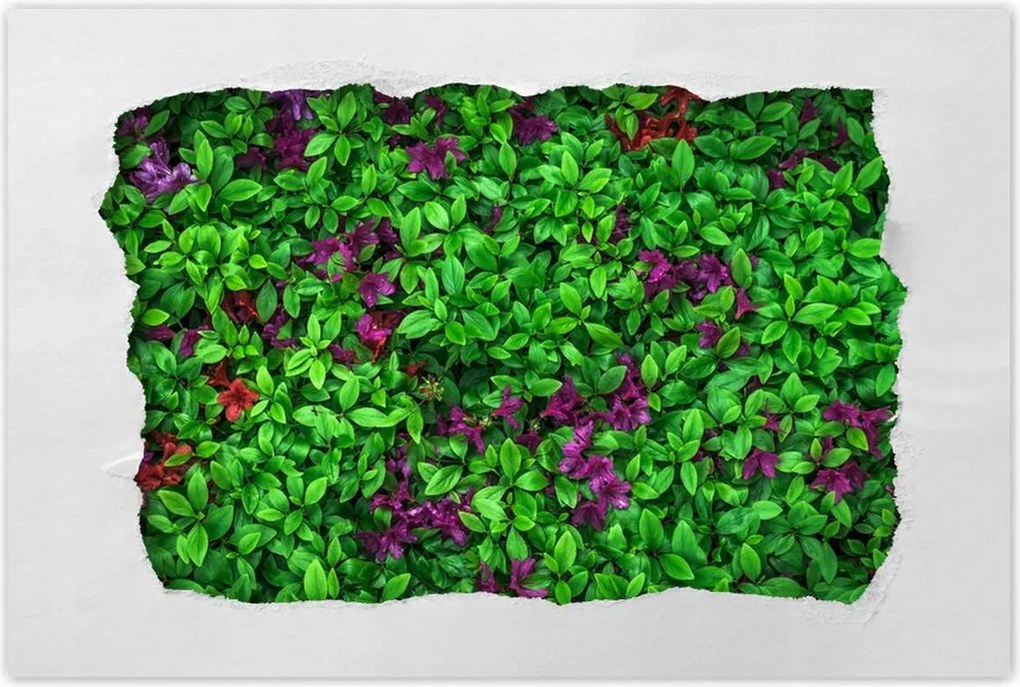 Poszterek 120x80 Kerti azálea