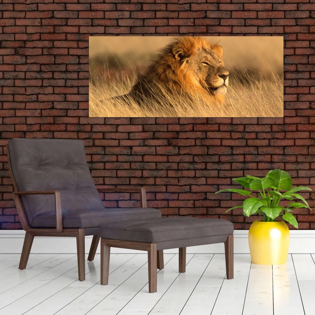 Kép - Etosha Nemzeti Park (120x50 cm)