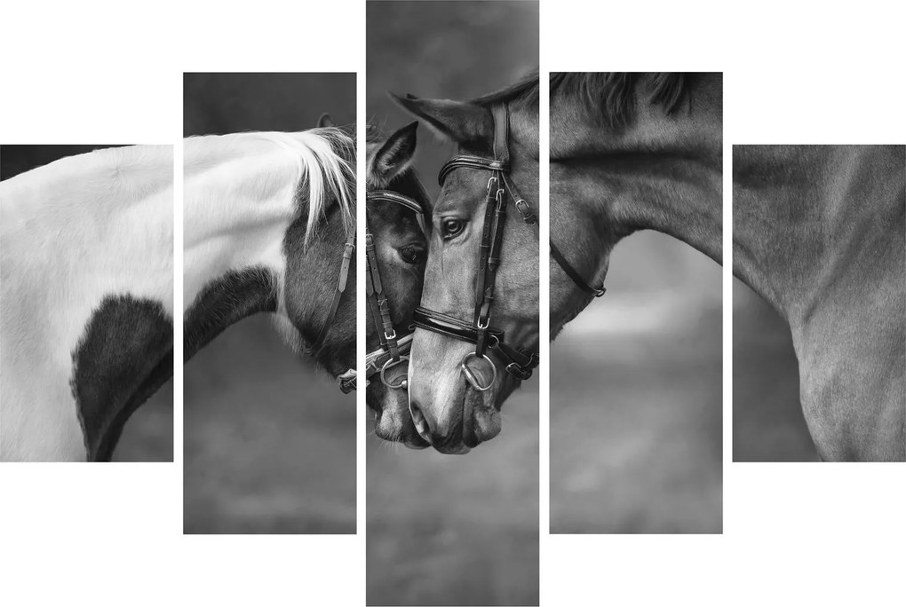 Kép - Szerelmes lovak, fekete-fehér (150x105 cm)